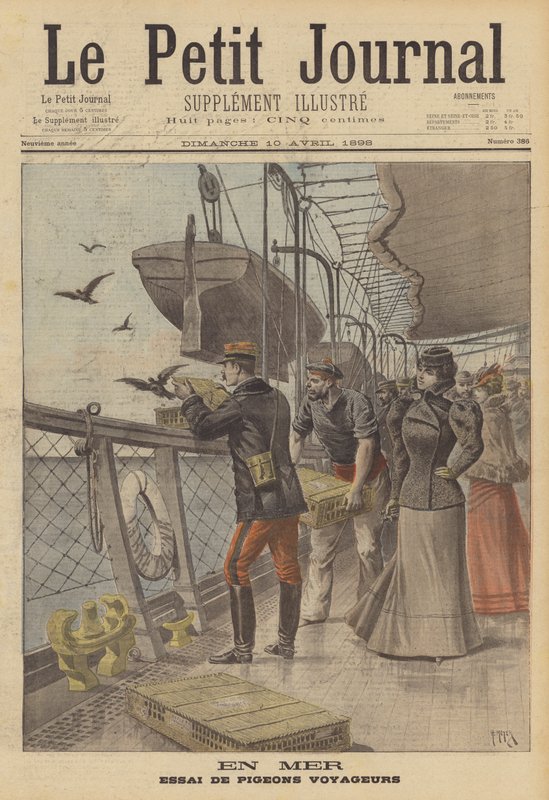Procès des pigeons voyageurs en mer - after Henri Meyer