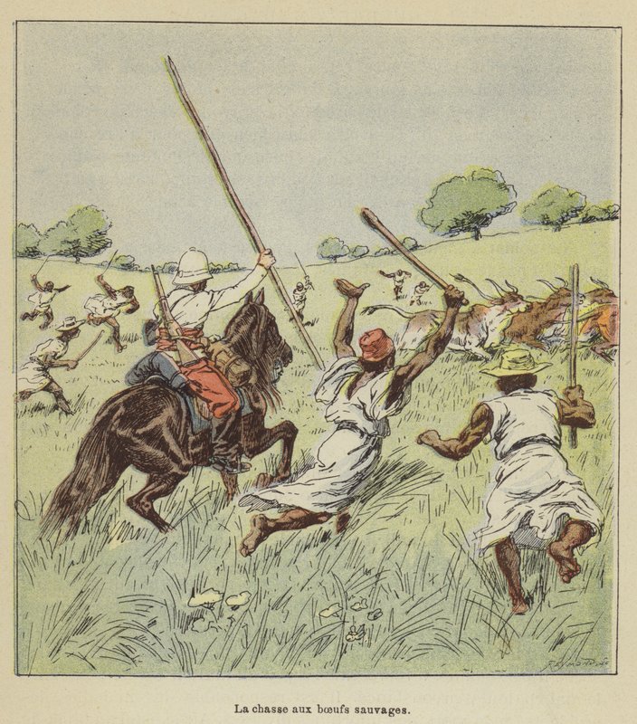 La chasse aux bœufs sauvages - after Louis Charles Bombled