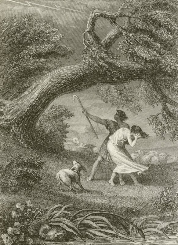 Le Chêne et Le Roseau - after Tony Johannot